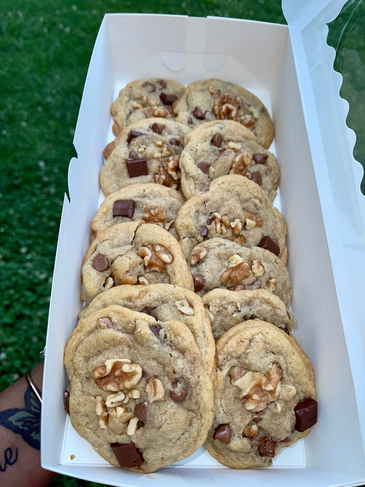 Walnut chocolate chip cookies