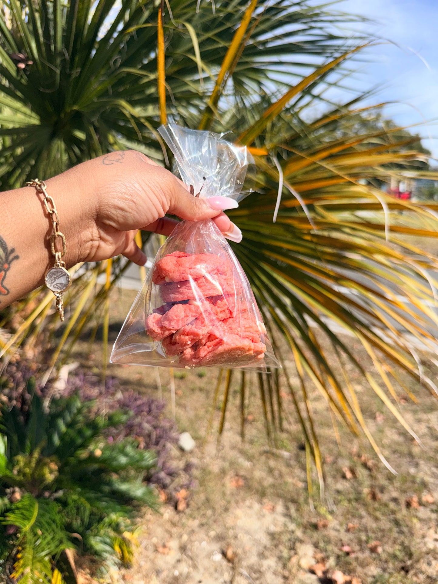 Mini strawberry chocolate chip