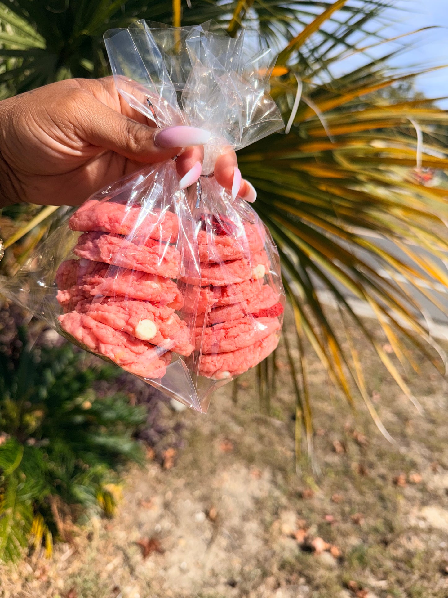 Mini strawberry chocolate chip