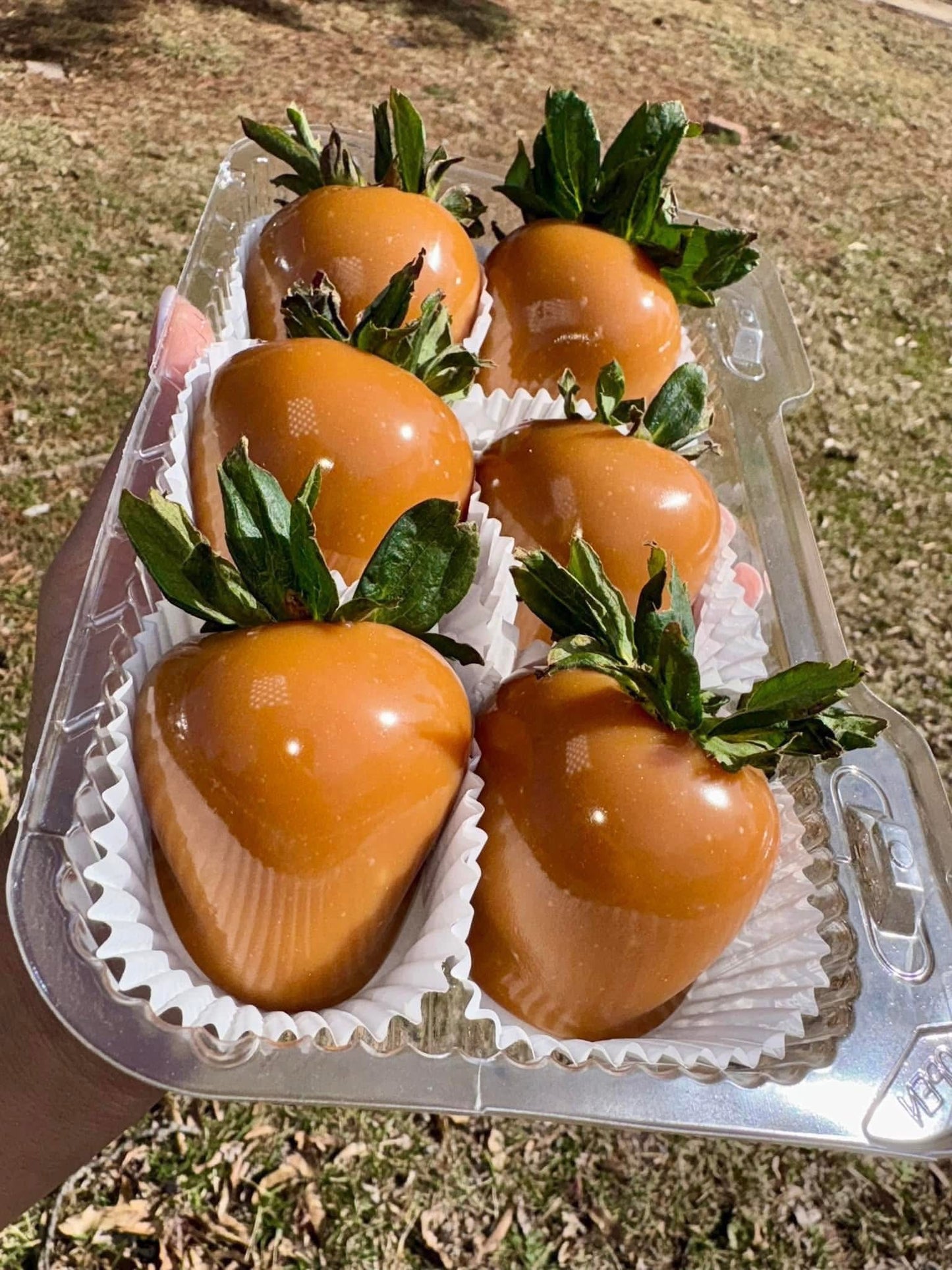Gourmet Caramel Strawberries (Local Pickup Only)